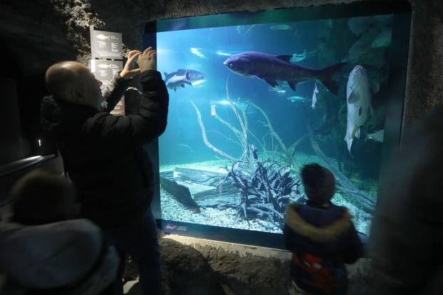 Slatkovodni akvarij Karlovac sudjeluje u manifestaciji Noć muzeja
