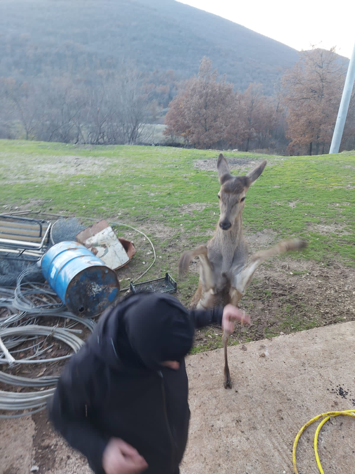 VIDEO Što si u kavu stavilaaa... 'Košuta me žicala gutljaj, jedva sam obranio šalicu. I sebe'