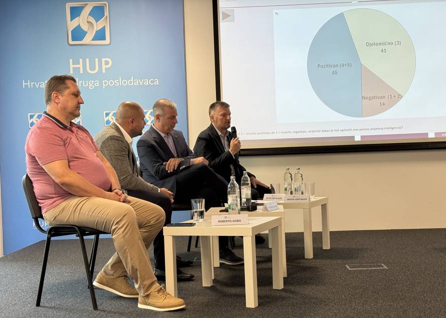 Većina domaćih poduzeća poznaje AI, ali se malo koristi. Država se mora više uključiti