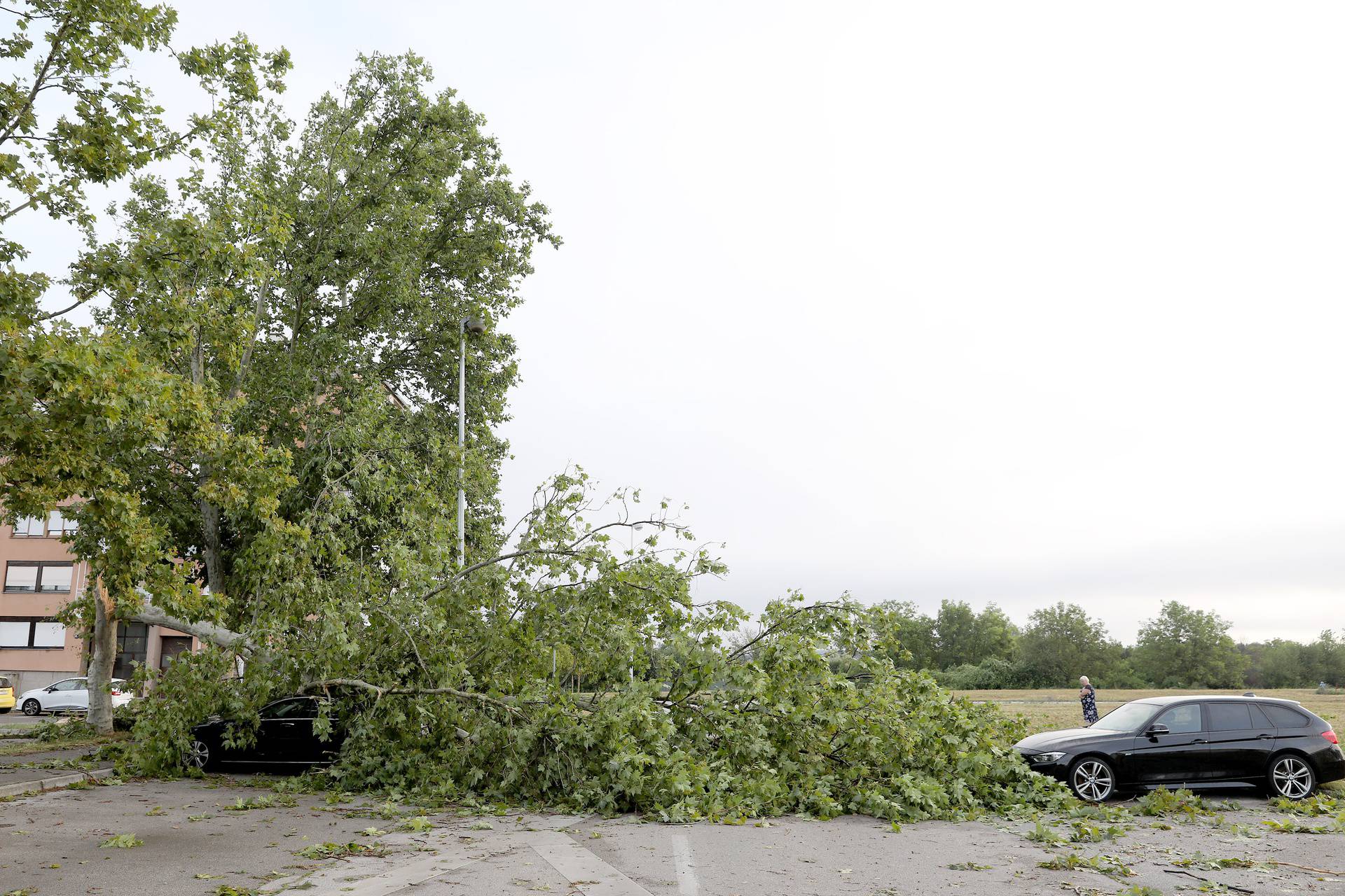 Zagreb: Posljedice oluje i dalje vidljive na ulicama