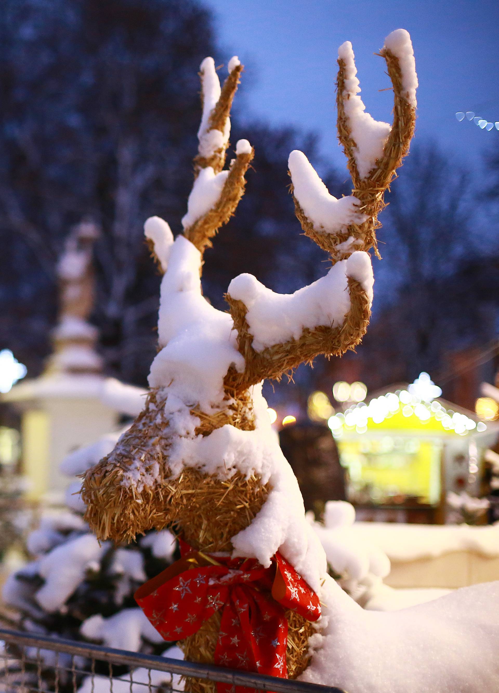 Advent u Bjelovaru