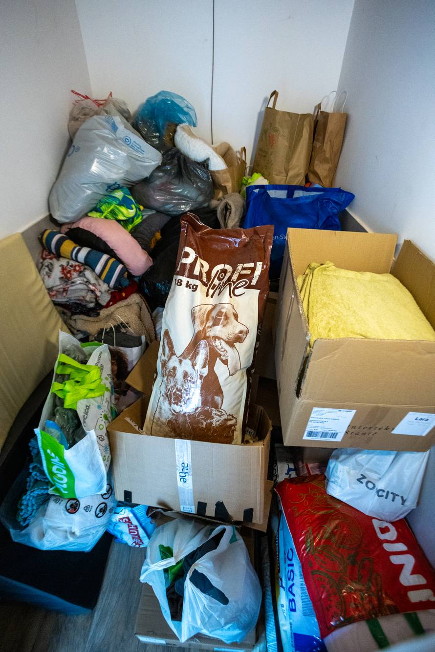 24sata Pula: Učenici OŠ Marčana od džeparca kupili hranu za pse spašene iz šokantnih uvjeta u okolici Rijeke