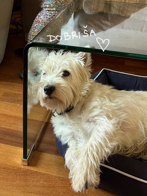 FOTO Debela Barbara: Hrvatska influencerica koja je bez filtera osvojila 100 tisuća pratitelja