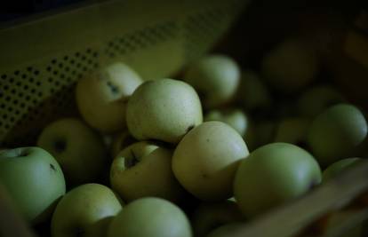 Hrvatska: Poskupjet će jabuke