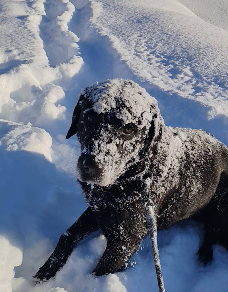 Općinska komunalka sama 'izlopatala' snijeg sa staze: 'Nema nikakve drame u tome'