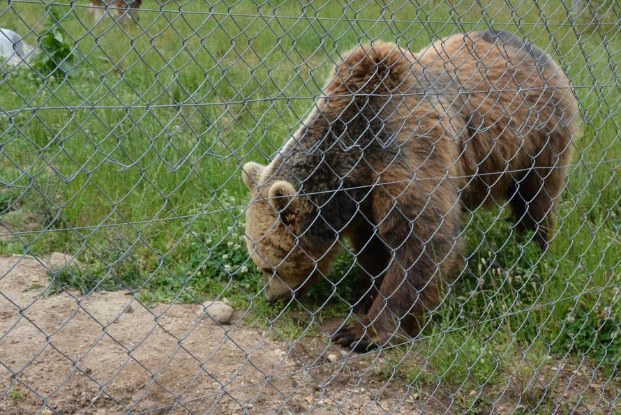 Macola tvrdi: Predao sam sve papire, neće oni meni nigdje...