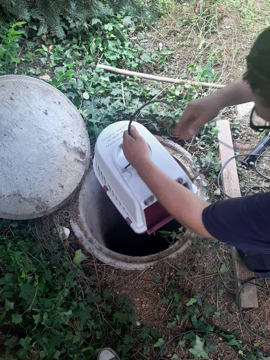 Mačić zapeo u kanalizacijskoj cijevi: 'Čuli su ga kako mjauče'