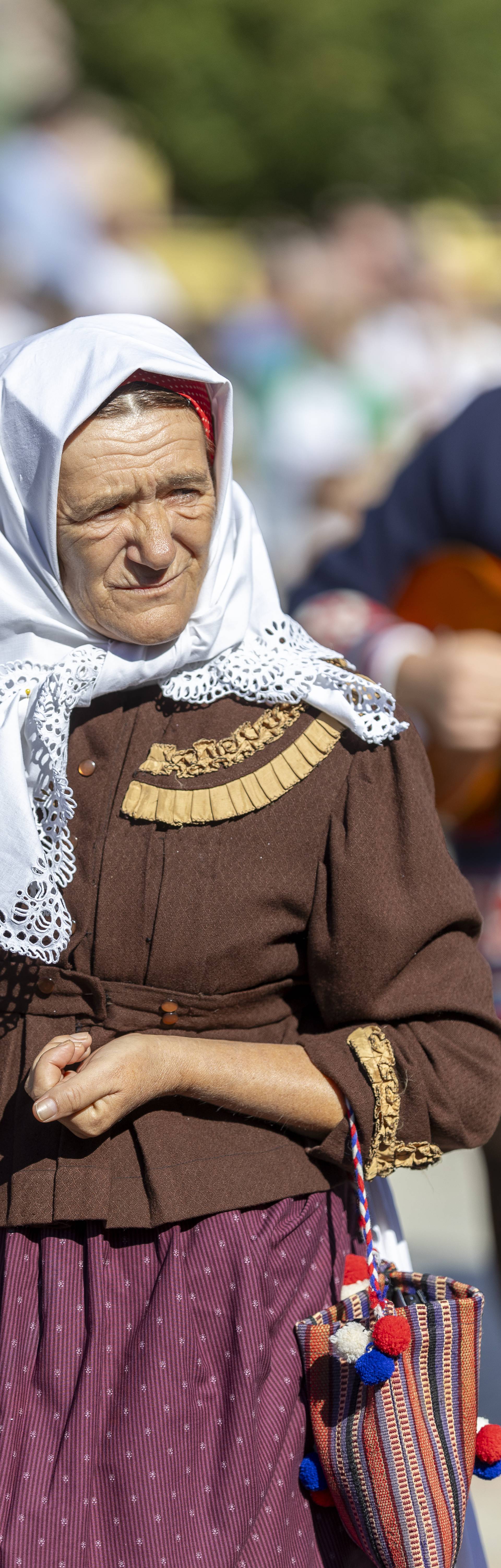 Svečani mimohod sudionika 59. Vinkovačkih jeseni