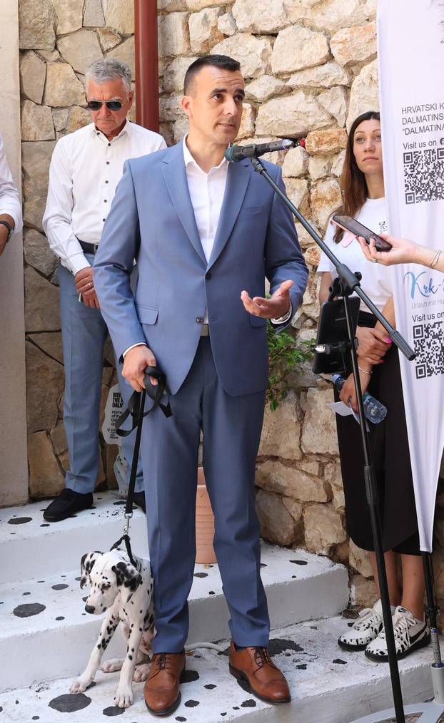 Šibenik:Otvoren muzej dalmatinskom psu,dalmatincu 