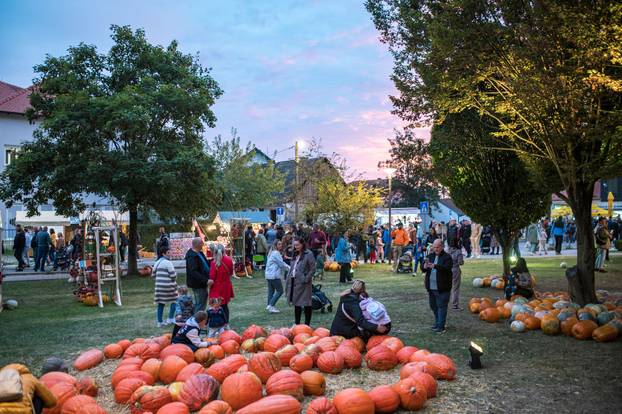 Održana 21. Bučijada i Sajam bučina ulja u Ivanić-Gradu
