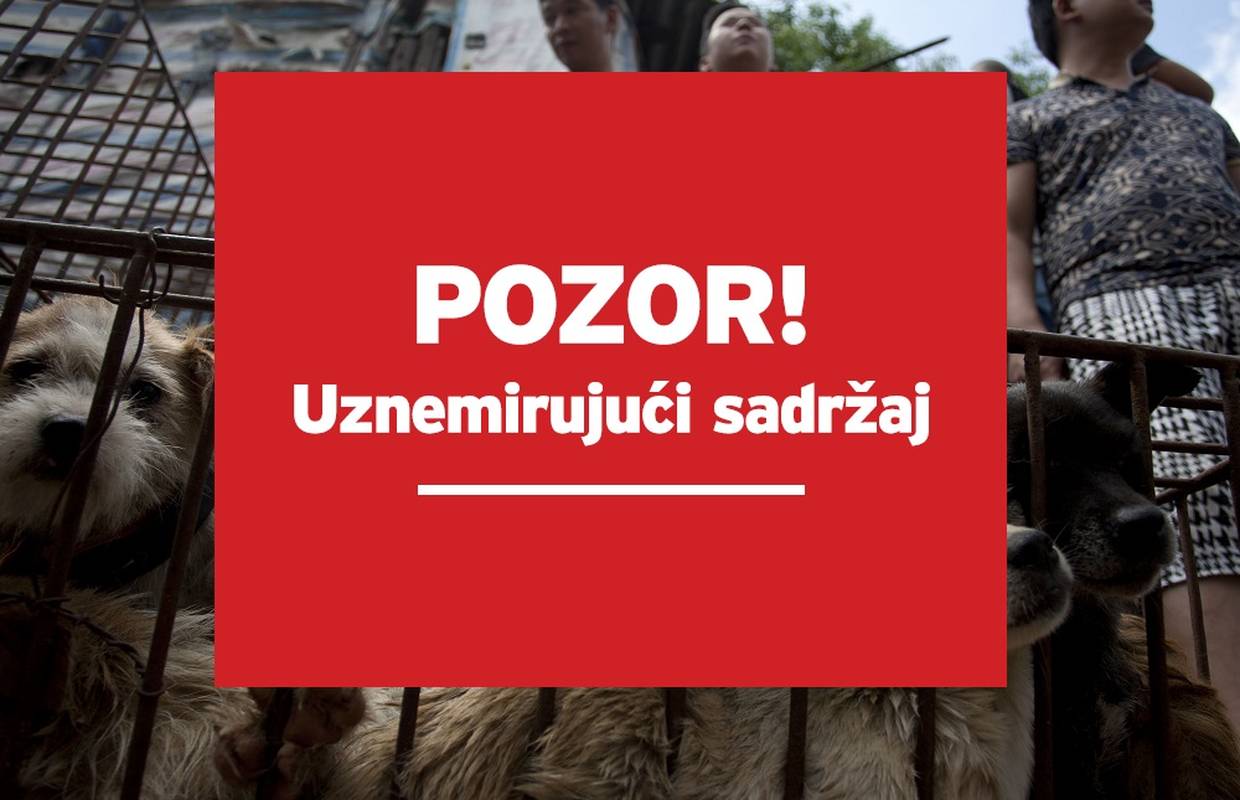 10.000 pasa i mačaka čeka da ih se zakolje i servira na stol