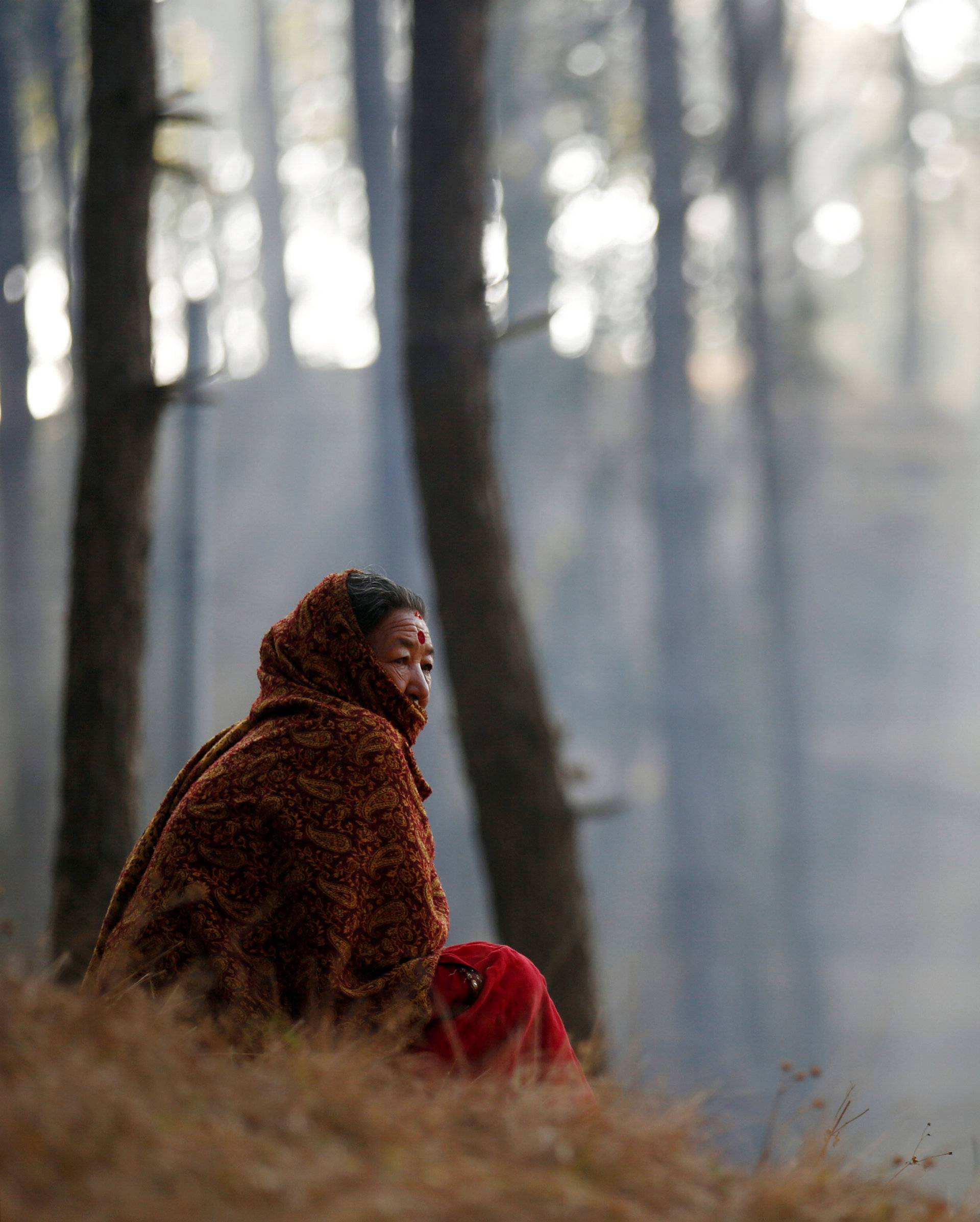 A devotee sits along the woods of Changu Narayan during the Swasthani Bratakatha festival in Bhaktapur