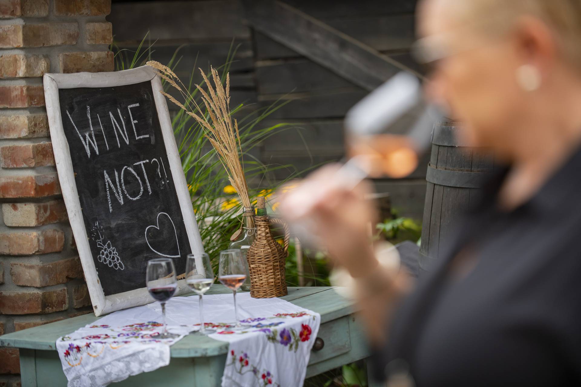 Sve je spremno za drugo izdanje vinskog festivala Slavonija i Podravina, wine not!?