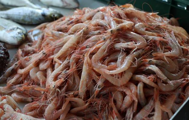 Šibenik: Bogata ponuda u šibenskoj ribarnici