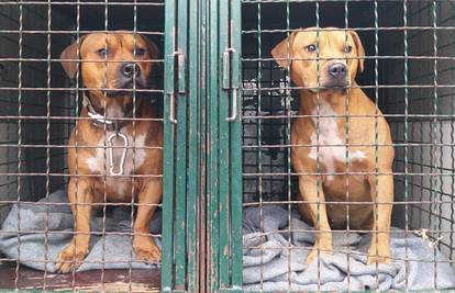 Psi ženi u Dubravi odgrizli prst