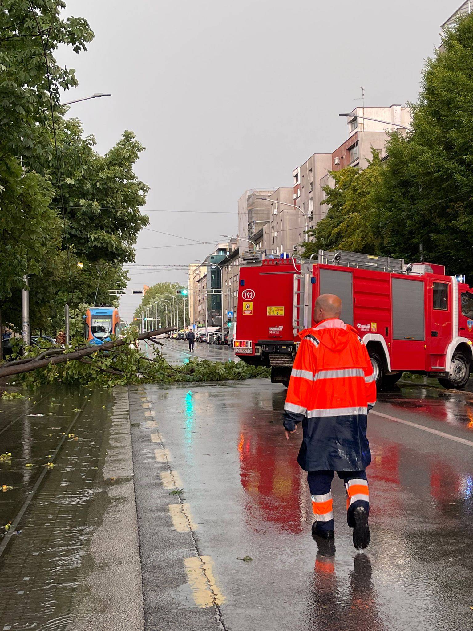 VIDEO Kaos u Maksimirskoj ulici zbog nevremena, oluja je trgala stabla i zaustavila promet