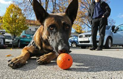 Policija: 'Pas nije igračka, već biće za koje se treba brinuti!'