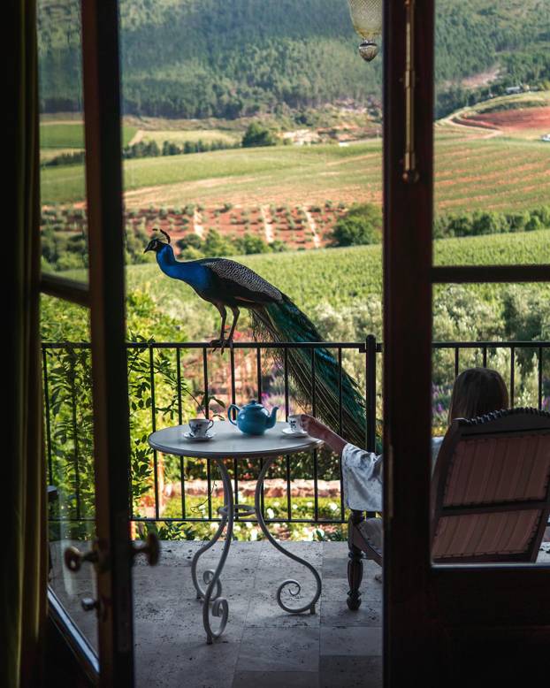 Luksuzni hotel između planina i vinograda nudi romantiku, mir i veličanstveno uređen interijer