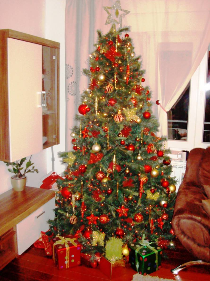 Šaljite fotografije božićnih jelki i osvojite vrijednu nagradu...