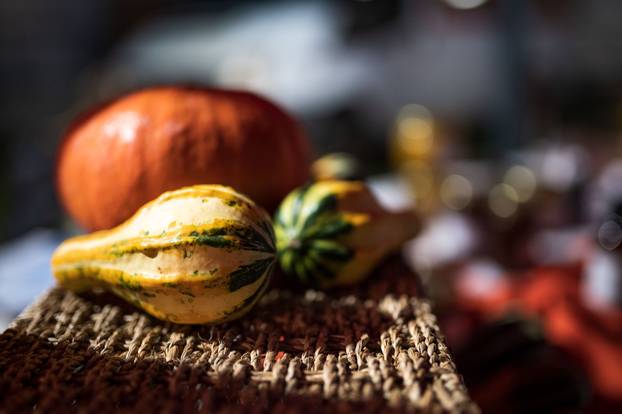 Održana 21. Bučijada i Sajam bučina ulja u Ivanić-Gradu