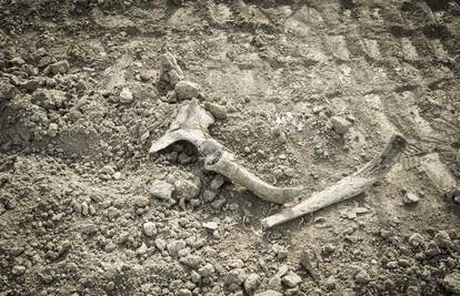 Dvojica srpskih teritorijalaca osumnjičena za ratni zločin u Baranji. Ubili troje civila