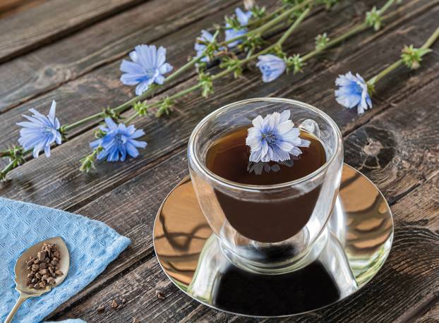 Chicory drink in thermo glass cup with fresh flowers