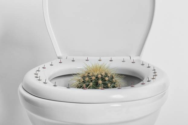 Toilet,Bowl,With,Pins,And,Cactus,On,White,Background,,Closeup.