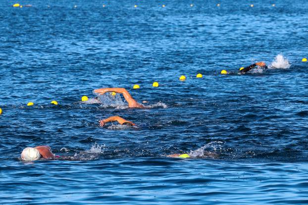 Održana plivačka manifestacija Porečki delfin
