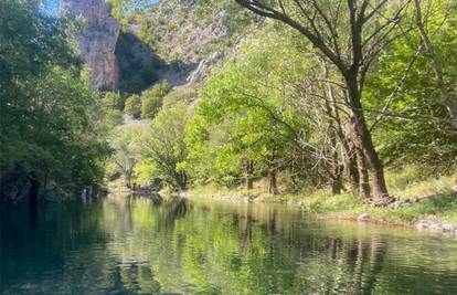 Posjekao šumu kod Pakoštana. Unutar parka prirode izvodio pripremne radove na zemljištu