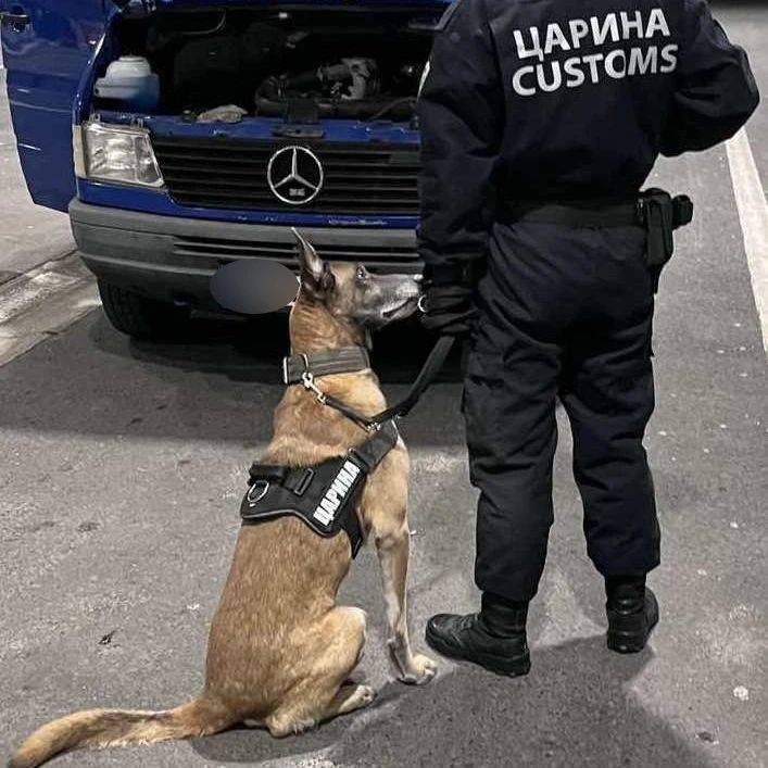 Neobična zapljena u Srbiji. Pas nanjušio joint u kifli: 'Bilo bi to nemoguće bez krznenog kolege'