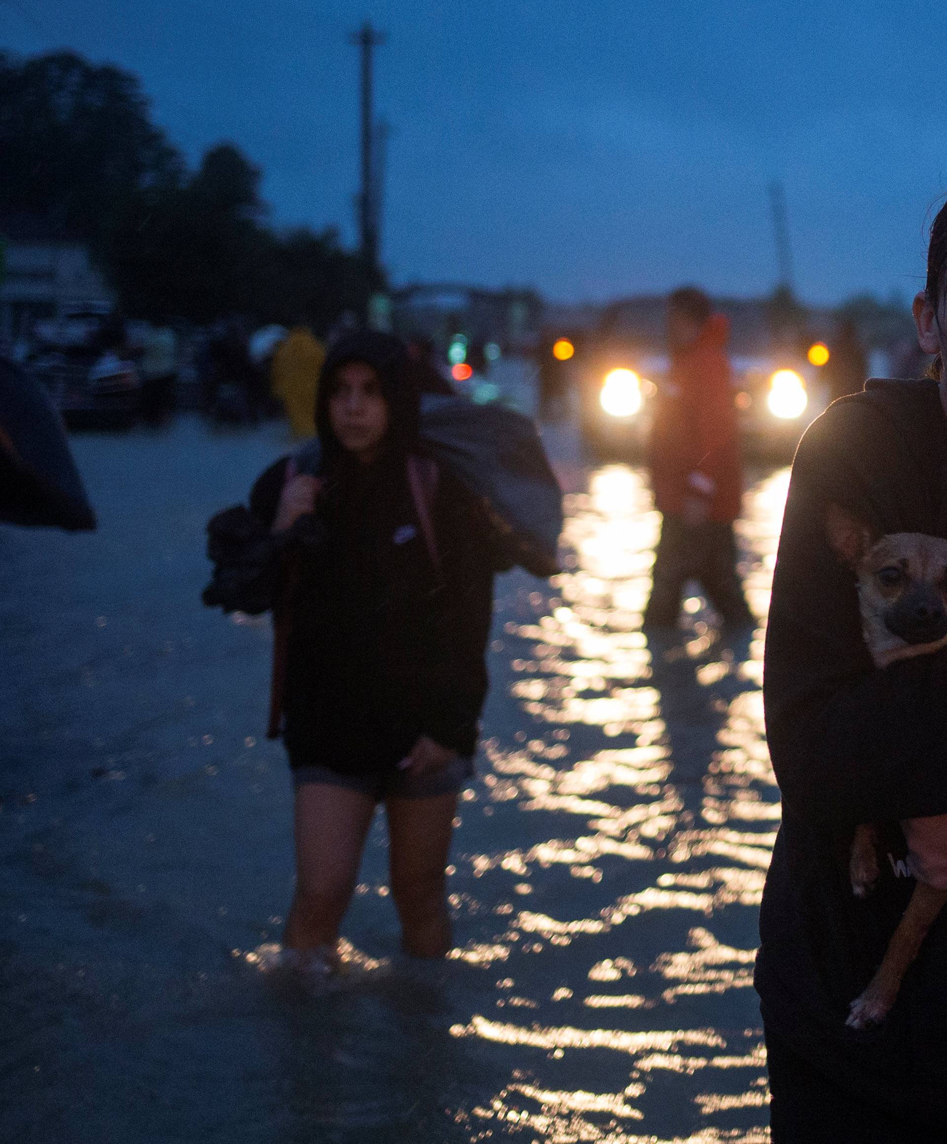 A woman holds her dog as she arrives to high ground after evacuating her home due to floods caused by Tropical Storm Harvey along Tidwell Road in east Houston