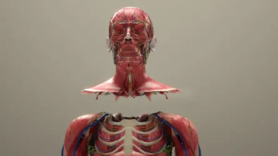 VIDEO Ovo je prvi svjetski sustav za presađivanje glave: 'To je nekad bilo nezamislivo...'