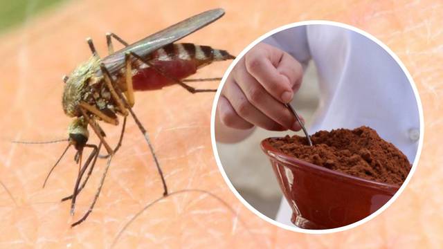 Komarci vam nemilosrdno piju krv? Evo kako se zaštititi od njih