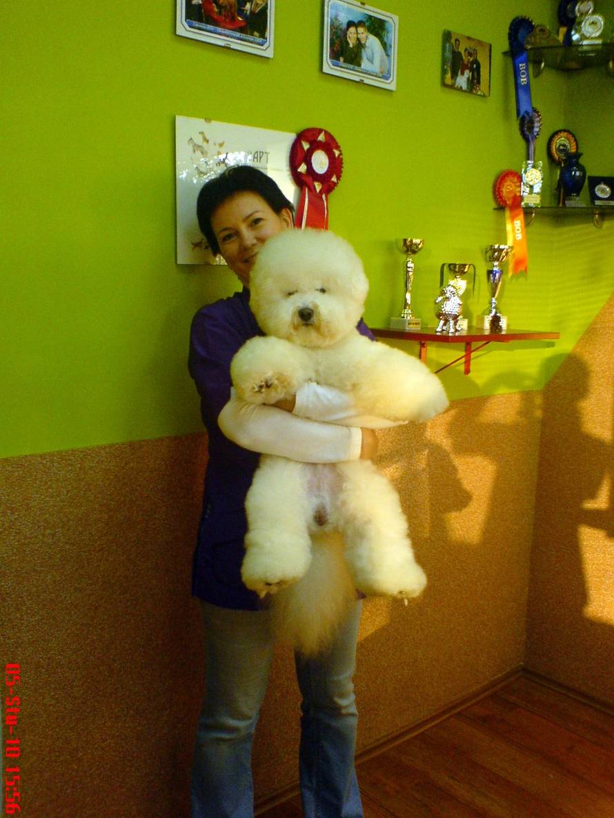 Irina Pavković Bilić