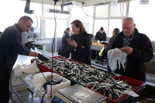 FOTO Pogledajte cijene u &scaron;ibenskoj ribarnici - Unato&ccaron; plavom dizelu: Bez poskupljenja