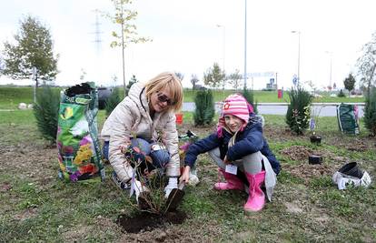 Živa ograda oko vrtnih parcela na zelenoj površini Arena Centra