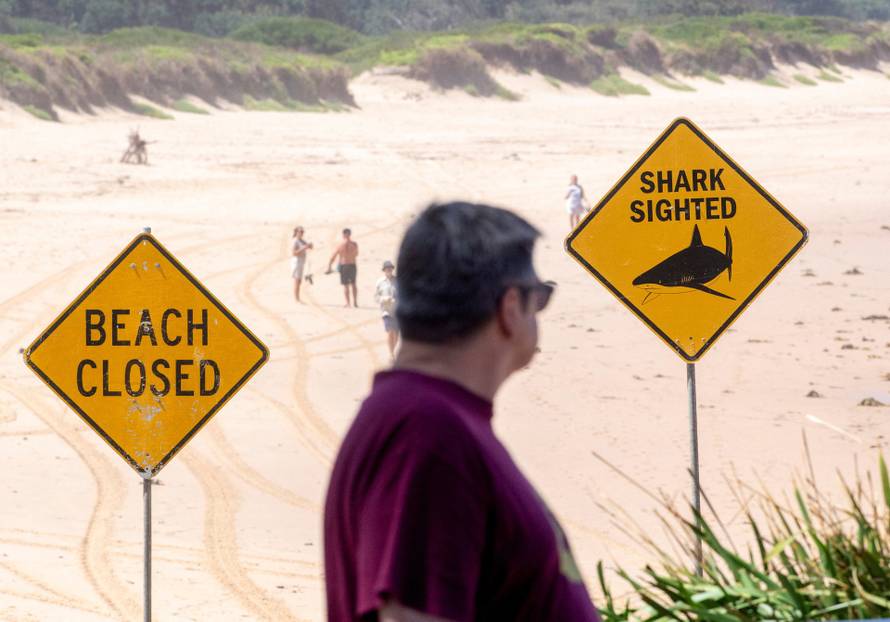 Shark attack in Sydney