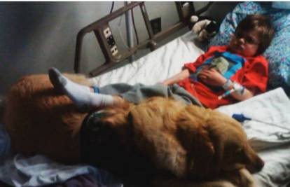 Video priča: Teško bolesnog dječaka pas čuvao do smrti!