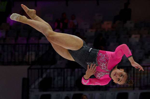 2025 World Artistic Gymnastics Championships
