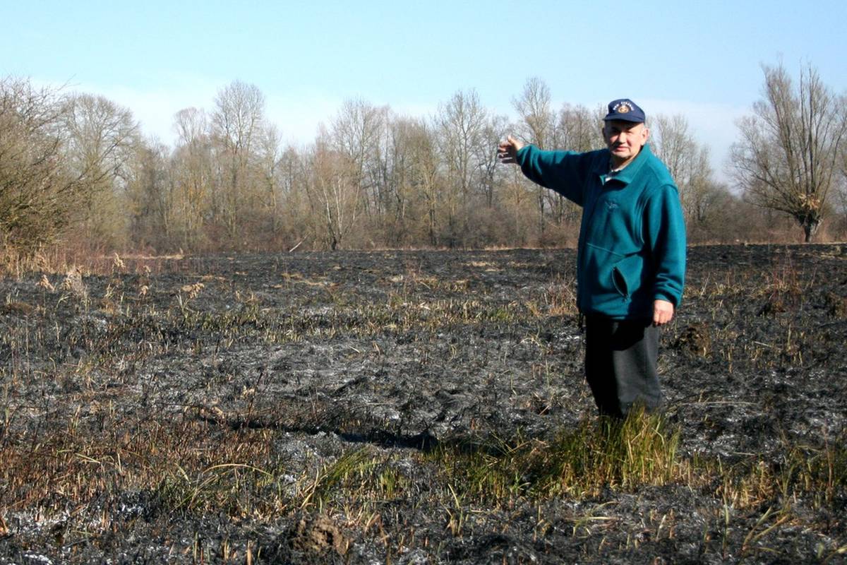 Vozač Hitne zvao 112: Vatrena kugla pala i zapalila šumu