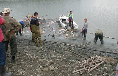 Ne smiju sve donirati: Izlovili su i zakopali  tone ribe iz jezera