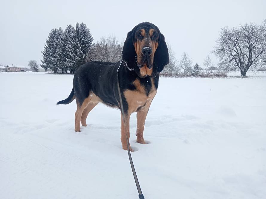 Općinska komunalka sama 'izlopatala' snijeg sa staze: 'Nema nikakve drame u tome'