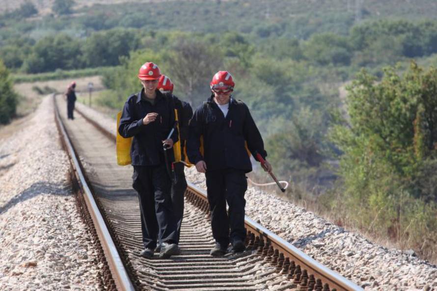 Željko Mršić/PIXSELL