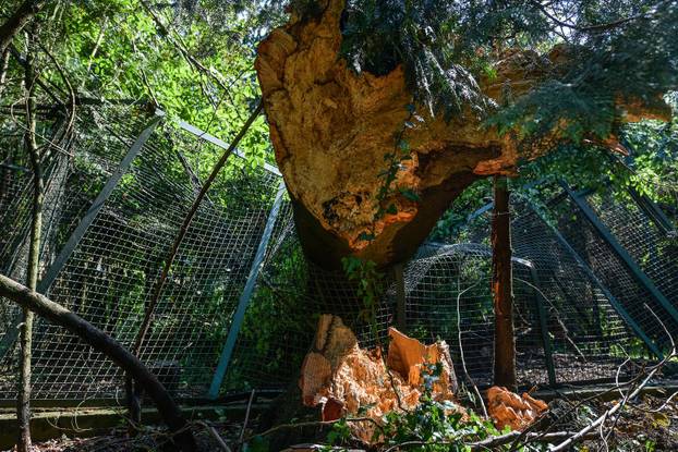 Zagreb: Zoološki vrt pretrpio štetu u nevremenu, bit će zatvoren do daljnjeg