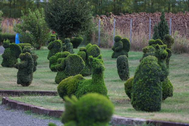 Bajkoviti vrt u srcu Međimurja: Prvi i jedini Topiary park u Hrvatskoj krije se u Sračincu
