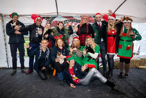 I psići vole advent: Preslatke fotke štenaca koji traže dom