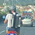 Fotka dana stiže iz Splita! Muškarac sa harmonikom na leđima: 'Sprema se fešta...'