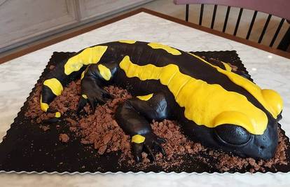 Slatki stol i 3D torte koje svi fotkaju? Evo tko stoji iza tih viralnih deserata