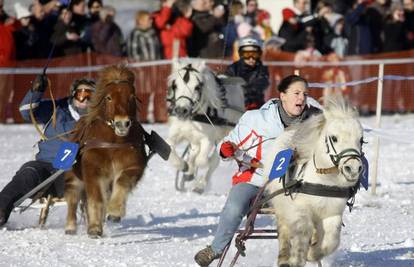 Utrka Ponya najpopularnija je utrka u Bavarskoj 