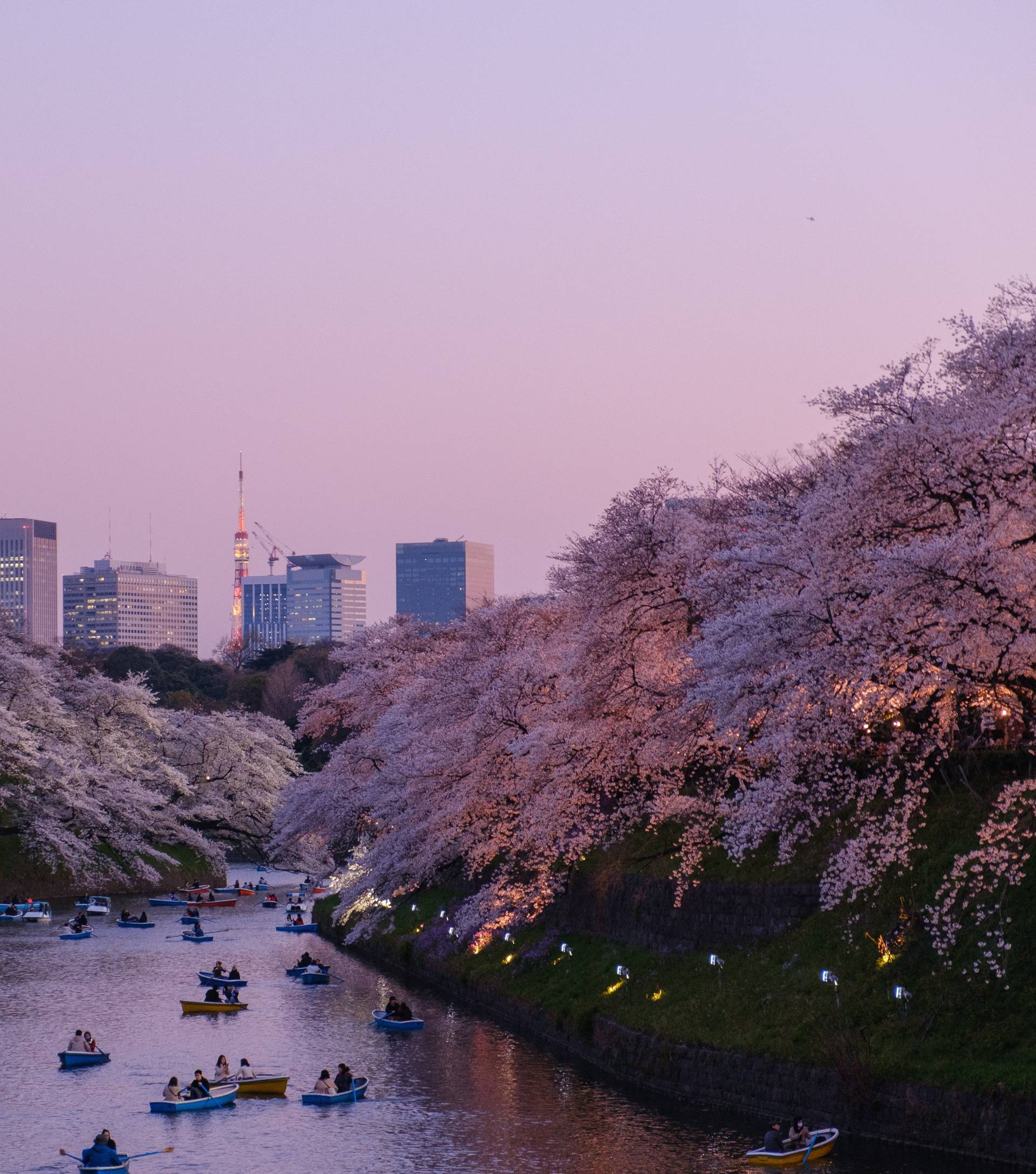 Ilustracija Japana